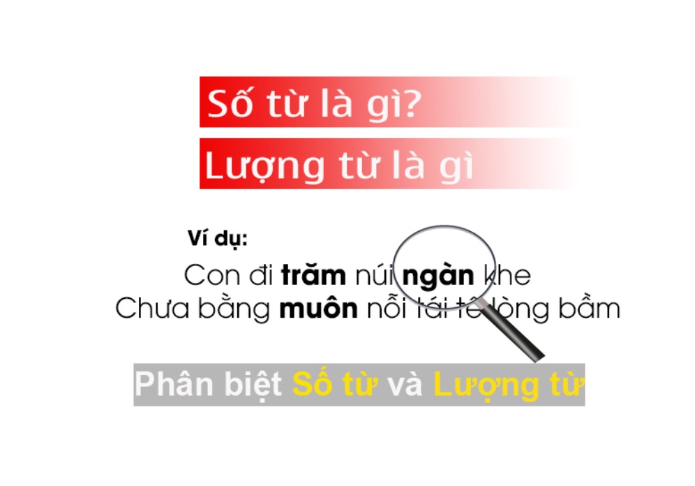 Khái Niệm Số Từ là gì? Lượng từ là gì? Ví dụ minh họa dễ hiểu nhất